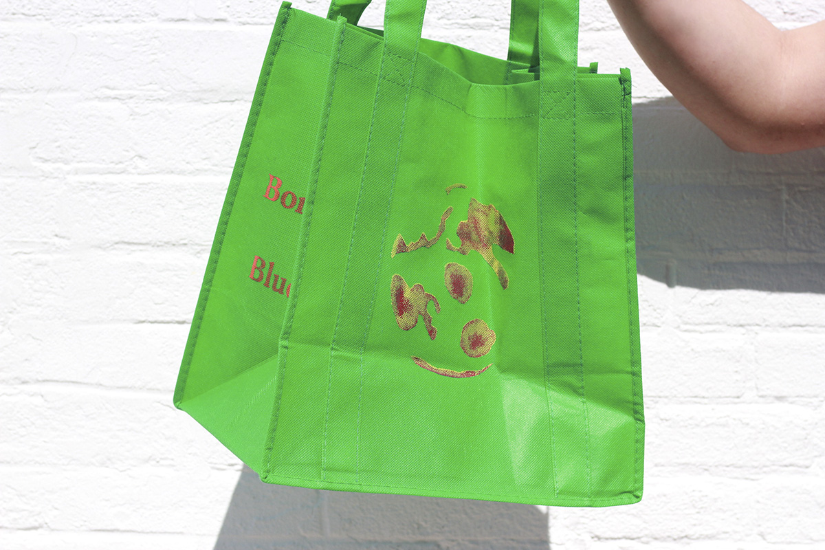 100x Reusable Bags