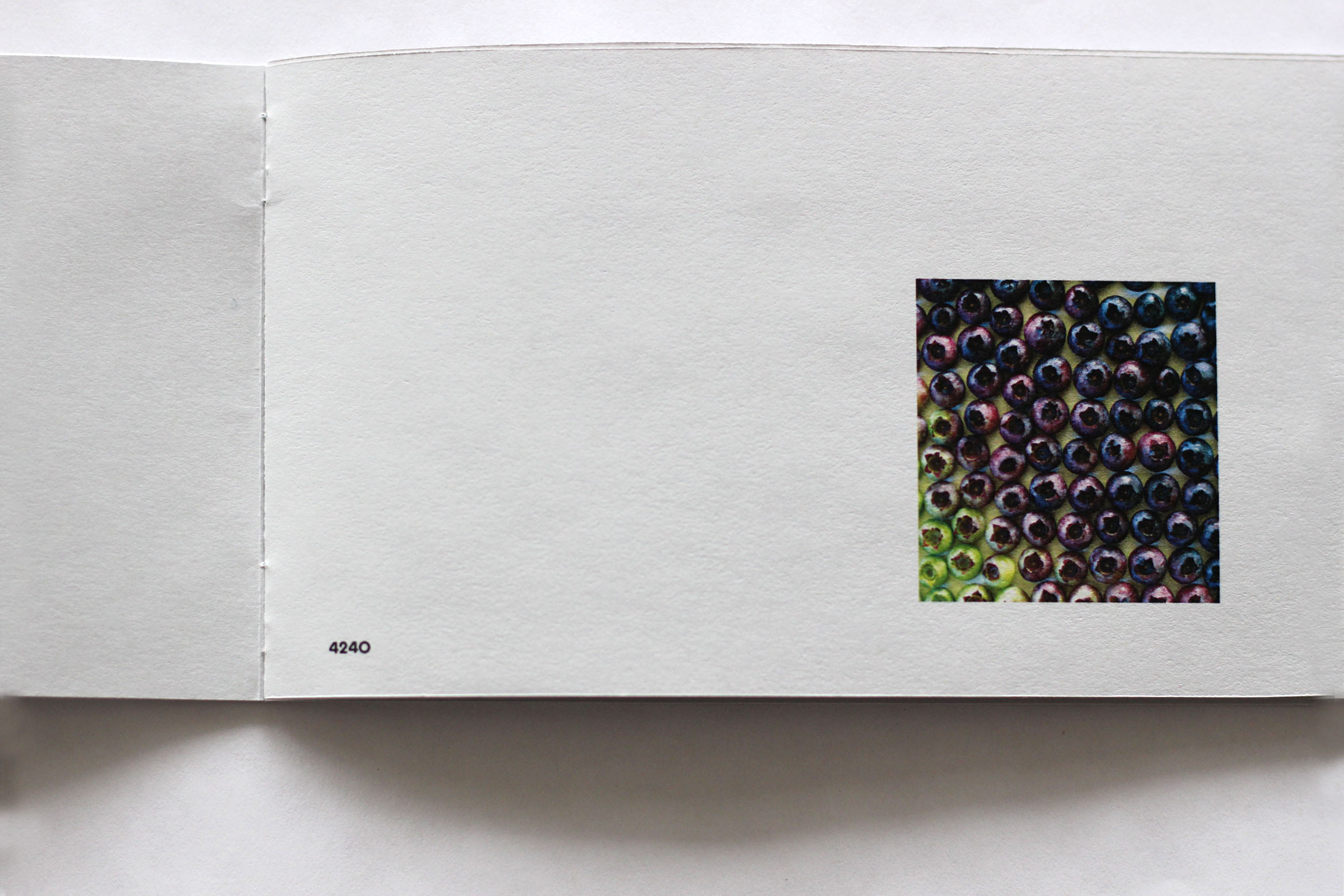 Pick a Fucking Color