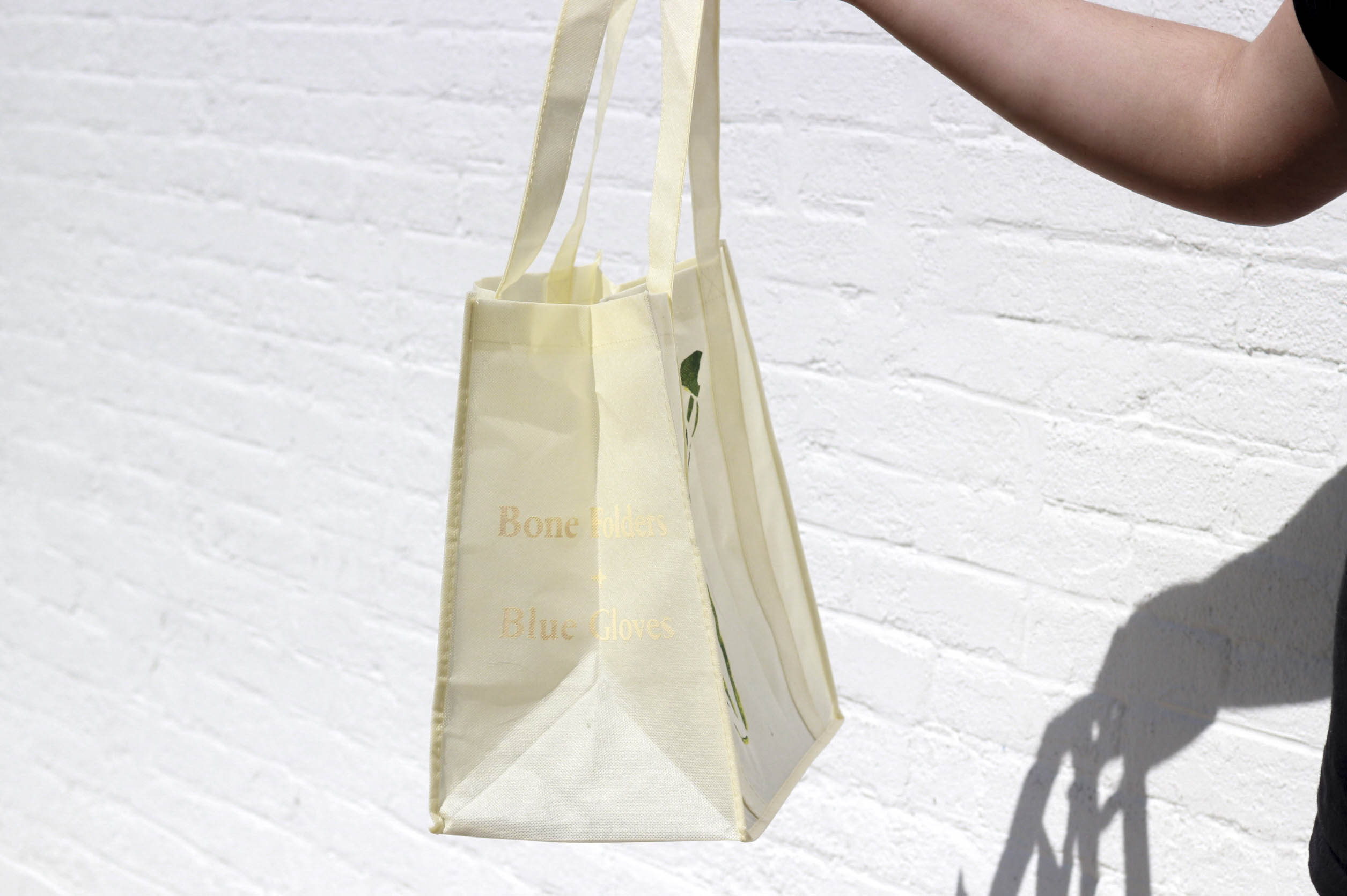 Zucchini Yellow Mosaic Virus