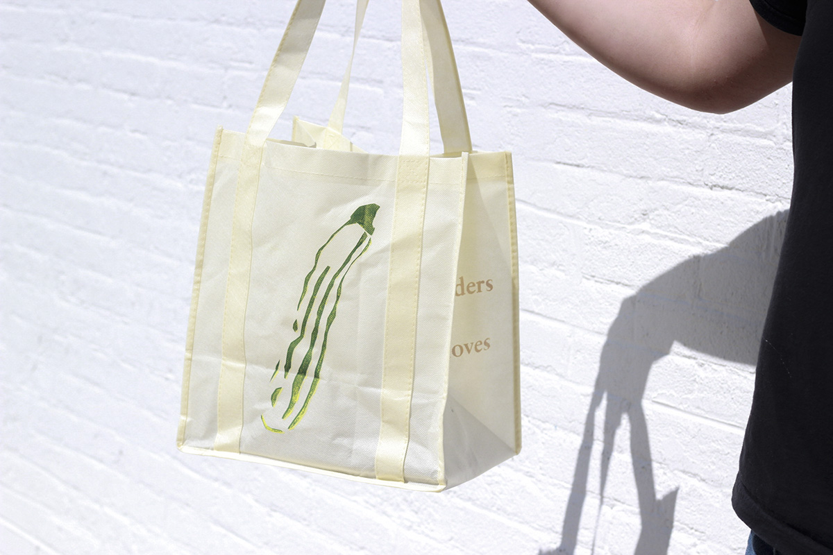 Zucchini Yellow Mosaic Virus