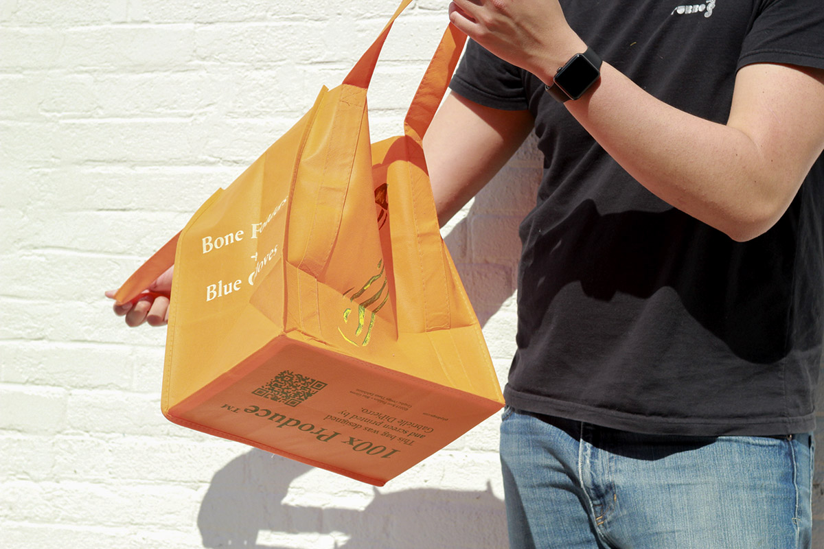 Zucchini Yellow Mosaic Virus