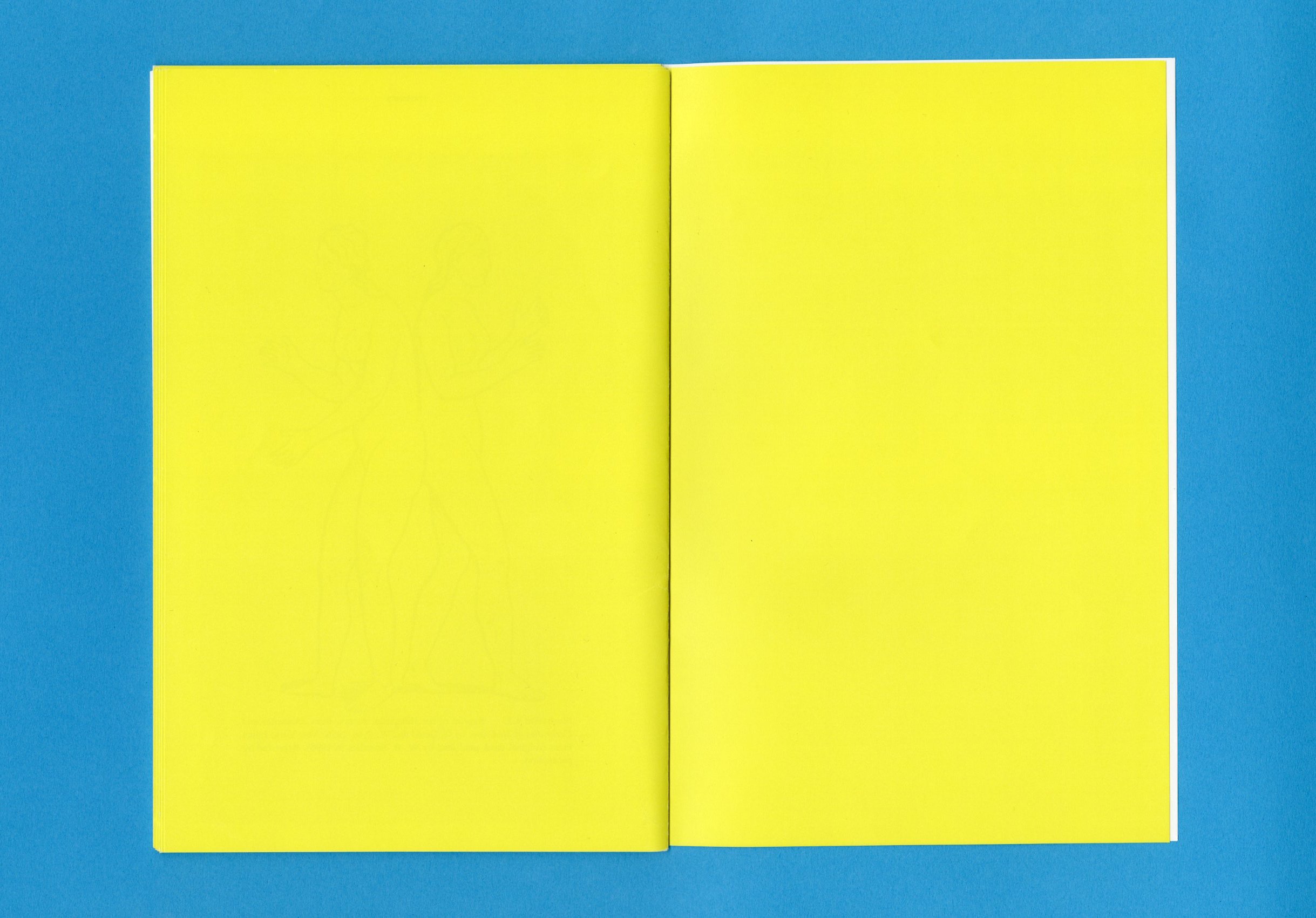 Conjoined Twins and the Animated World